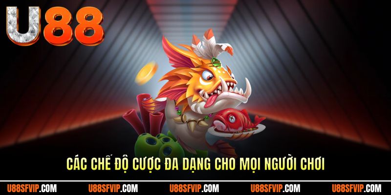 Các chế độ cược đa dạng cho mọi người chơi
